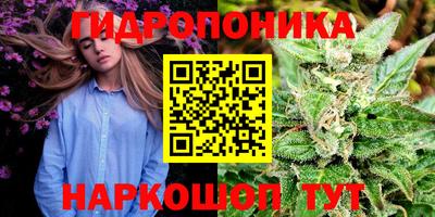 Альфа ПВП Волжск