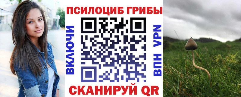 Галлюциногенные грибы мицелий  mega сайт  Гагарин 