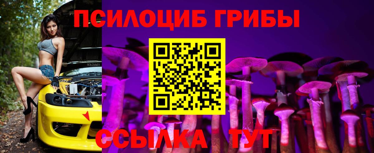 хочу   Гагарин  Галлюциногенные грибы ЛСД  Галлюциногенные грибы Cubensis 