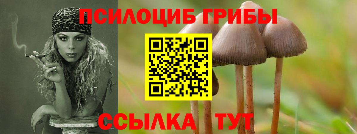 Псилоцибиновые грибы Cubensis  Галлюциногенные грибы GOLDEN TEACHER  где купить   Вход с VPN  Гагарин 